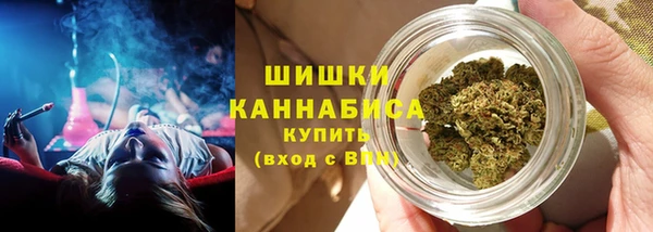 шишки Алексеевка