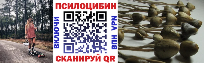 Галлюциногенные грибы прущие грибы  Изобильный 