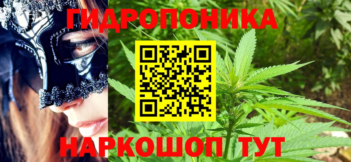 Конопля White Widow Изобильный